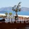 Villa Galinia_accommodation_in_Villa_Cyclades Islands_Sandorini_Sandorini Chora