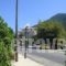 Fanis_best deals_Room_Ionian Islands_Lefkada_Nikiana