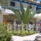 Patras Apartments_best deals_Apartment_Aegean Islands_Ikaria_Ikaria Chora