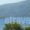 Dedelos Studios_lowest prices_in_Apartment_Piraeus Islands - Trizonia_Poros_Poros Chora