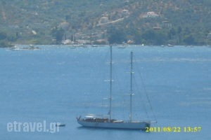 Dedelos Studios_best deals_Apartment_Piraeus Islands - Trizonia_Poros_Poros Chora