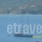 Dedelos Studios_best deals_Apartment_Piraeus Islands - Trizonia_Poros_Poros Chora