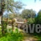 Elena's Rooms_best deals_Apartment_Peloponesse_Arcadia_Levidi