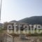 Calypso_best deals_Apartment_Ionian Islands_Lefkada_Vasiliki