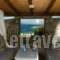 Angelika Studios_accommodation_in_Apartment_Cyclades Islands_Mykonos_Mykonos Chora