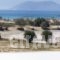 Perla_accommodation_in_Apartment_Cyclades Islands_Naxos_Agios Prokopios