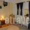 Makis Studios & Apartments_best deals_Apartment_Ionian Islands_Kefalonia_Poros