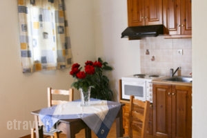 Esperis Studios_holidays_in_Apartment_Dodekanessos Islands_Astipalea_Livadia