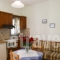 Esperis Studios_best deals_Apartment_Dodekanessos Islands_Astipalea_Livadia