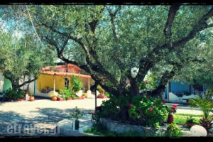 Avocado_travel_packages_in_Peloponesse_Ilia_Kastro Kylini