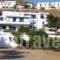 Drouga's Studios_accommodation_in_Apartment_Dodekanessos Islands_Astipalea_Livadia