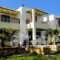 Afiartis 2 - New Sofia Studios_best deals_Apartment_Dodekanessos Islands_Karpathos_Karpathosst Areas