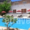 Saint Konstantin_holidays_in_Apartment_Dodekanessos Islands_Rhodes_Stegna