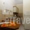 Alexandra Natalia_lowest prices_in_Apartment_Ionian Islands_Corfu_Melitsa