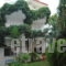 Mitika Hotel Apartments_best deals_Apartment_Epirus_Preveza_Mytikas