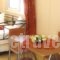 Dorana Studios & Apartments_best deals_Apartment_Dodekanessos Islands_Karpathos_Diafani