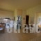 Artemis Village Apartments_best deals_Apartment_Crete_Chania_Stavros