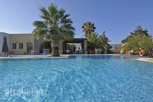 Arokaria Dreams_best prices_in_Apartment_Cyclades Islands_Paros_Piso Livadi