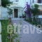 Evgenia Apartments_best prices_in_Apartment_Sporades Islands_Skiathos_Skiathos Chora