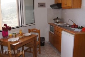 Chrisanthi Studios & Apartments_best prices_in_Apartment_Crete_Rethymnon_Plakias