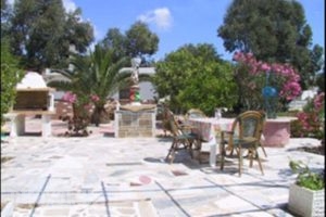 Irene Apartments_holidays_in_Apartment_Dodekanessos Islands_Karpathos_Karpathos Chora