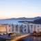 Villa Thea_best deals_Villa_Cyclades Islands_Mykonos_Mykonos Chora