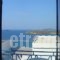 Villa Aegeo Studios_best prices_in_Villa_Cyclades Islands_Andros_Batsi