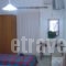 Villa Aegeo Studios_lowest prices_in_Villa_Cyclades Islands_Andros_Batsi