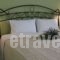 Aegean Villas_accommodation_in_Villa_Piraeus Islands - Trizonia_Trizonia_Trizonia Rest Areas