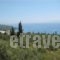 Eleni Studios_travel_packages_in_Ionian Islands_Kefalonia_Lourdata