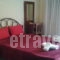 Guesthouse Adonis_holidays_in_Apartment_Macedonia_Pella_Loutraki