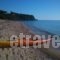 Palmina Mare_best deals_Apartment_Epirus_Preveza_Vrachos