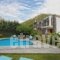 Manolioudis Villas_best deals_Villa_Crete_Rethymnon_Mylopotamos