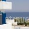 Blue Dolphin Studios And Apartment_best prices_in_Apartment_Piraeus Islands - Trizonia_Aigina_Aigina Chora