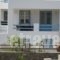 Karaoulanis Apartments_lowest prices_in_Apartment_Cyclades Islands_Andros_Andros City