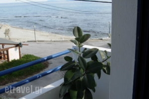 Philippos Studios & Apartments_best deals_Apartment_Dodekanessos Islands_Kos_Kardamena