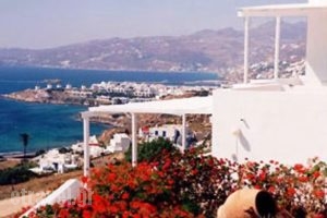 Angelika Studios_travel_packages_in_Cyclades Islands_Mykonos_Mykonos Chora