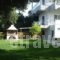 Villa Riza_best deals_Villa_Epirus_Preveza_Kamarina