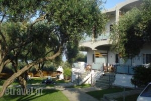 Villa Riza_travel_packages_in_Epirus_Preveza_Kamarina