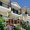 Aristi Studio Apartments_accommodation_in_Apartment_Aegean Islands_Lesvos_Lesvos Rest Areas