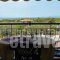 Villa Stella Apartments_best deals_Villa_Macedonia_Halkidiki_Chalkidiki Area