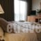 Achillion Hotel_accommodation_in_Hotel_Central Greece_Attica_Athens