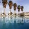 Jonathan Studio Apartments_best deals_Apartment_Dodekanessos Islands_Kos_Tigaki