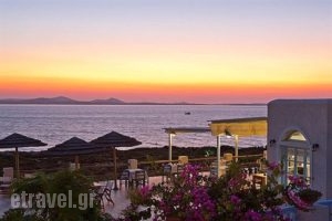 Pirgos Stelida_best deals_Apartment_Cyclades Islands_Naxos_Stelida