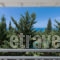 Idilli Villas Lefkada_holidays_in_Villa_Ionian Islands_Lefkada_Lefkada Chora