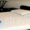 Zorbas_lowest prices_in_Room_Central Greece_Attica_Athens