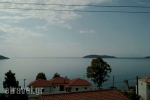 Azalea View_lowest prices_in_Apartment_Sporades Islands_Skiathos_Skiathos Chora