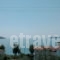 Azalea View_best deals_Apartment_Sporades Islands_Skiathos_Skiathos Chora