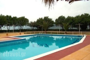 Delphi Rooms & Bungalows_holidays_in_Apartment_Central Greece_Fokida_Delfi