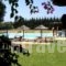 Villa-Georgina_best deals_Villa_Peloponesse_Ilia_Pyrgos